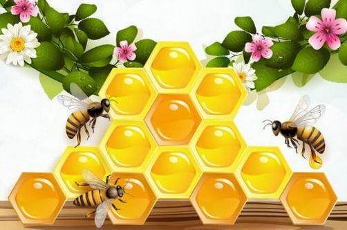 普分分析PFchrom C18针对蜂王浆中葵烯酸的含量测定